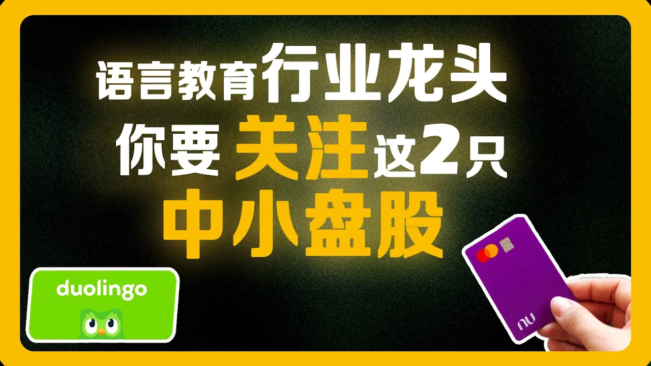 财报季如何捡便宜？两只高增长中小盘股深度解析