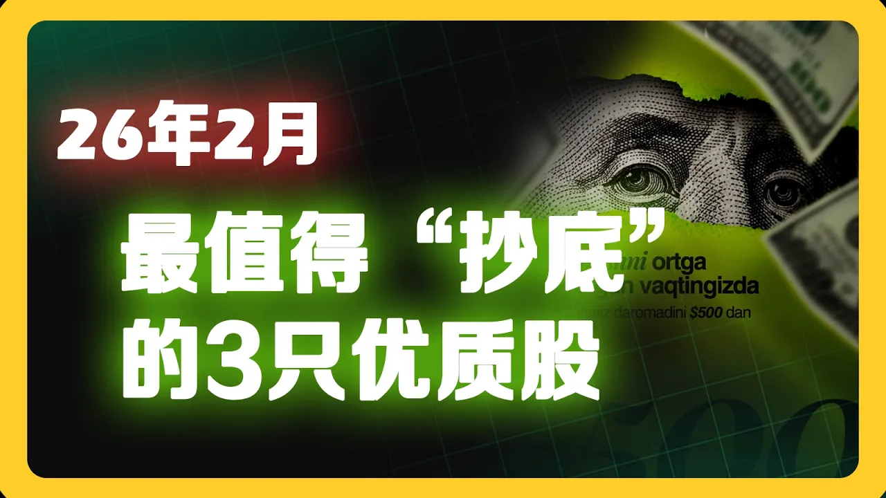 AI恐慌砸出黄金坑？2026年2月三只被严重低估的优质股