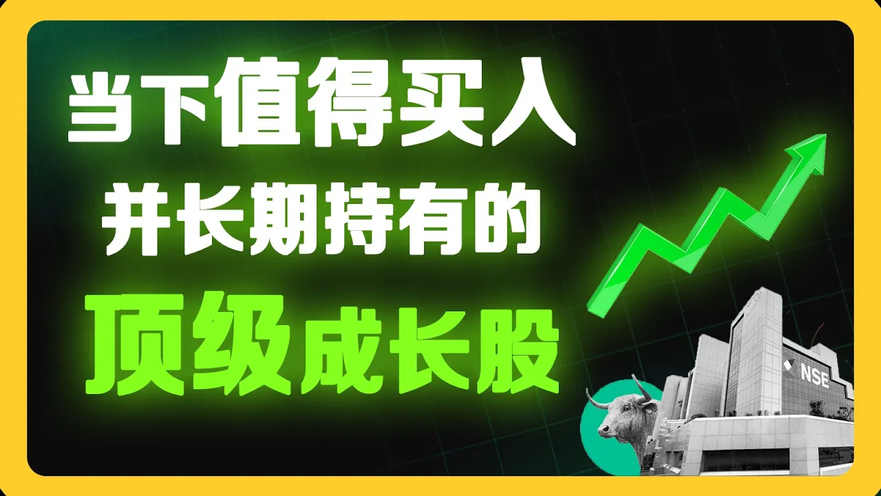 2026年最值得长期持有的成长股：政府软件龙头Tyler Technologies深度解析